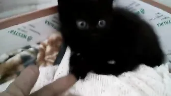 Gina Gerson onlyfans passionate swimming