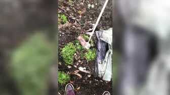 Dominatrix Athena onlyfans girl's insatiable pussy