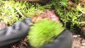 Dominatrix Athena onlyfans Spicy blonde