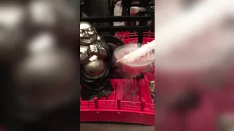 Dillion Harper onlyfans Perfect mare