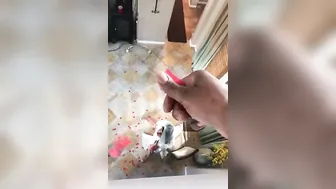 August Taylor onlyfans Pretty confused