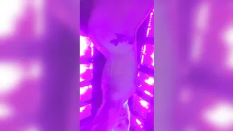 AJ AppleGate onlyfans showing her butt