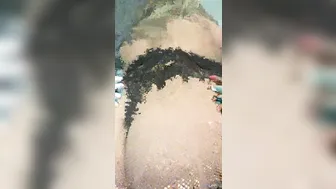 Jodie Lawson    Class Bitch