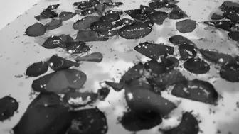 Princess_LeiaCM passionate devil playing pranks in a free chat.