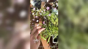 iammery cute baby check out the intimate charms