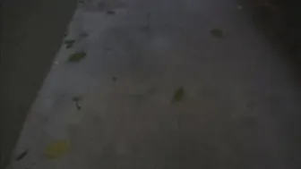 Cherokee D Ass skin masturbates pussy