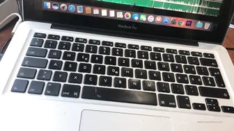 anuskatzz Graceful chick