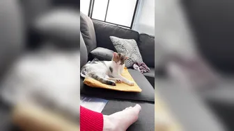 ellahollywood 03 June 2020