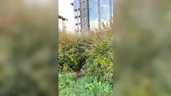 sexysabotage 26 January 2021