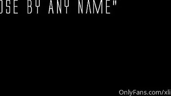 Lily Flowers february 2021