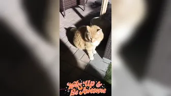 Kayleigh Coxx aka kayleighcoxx84 Openwork blond