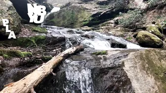 Delilah Cass cute babe in stockings massages vagina with hand