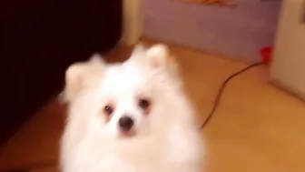 lillpio Cute passion runetka