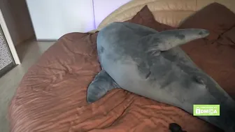 pussy_m0ney_weed busty woman mandrids cap