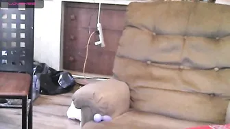 420damber16 chick eagerly absorbs dildo