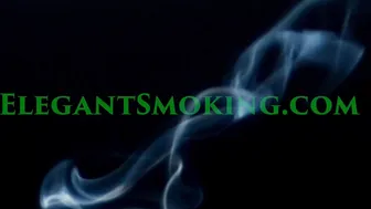 Natasha Anastasia  chick chats in fries