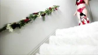 JustViolet  03 December 2020