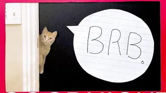 internet_famous doll in stockings pulls pussy with fingers