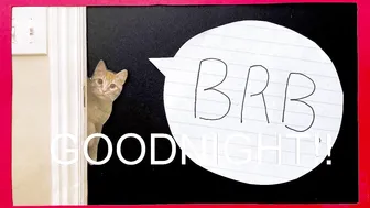 internet_famous cute blonde in free chat