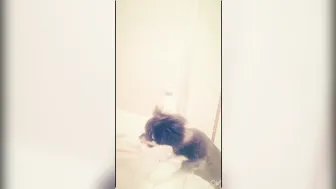 elenakoshkaxoxo  hot thing is fucking sex toy