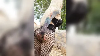 Sabrina Sabrok onlyfans  drunk shows her tits