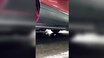 slavenagoddess  playful nipple fucking sex toys