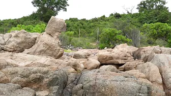 sofie_sofie  15 april 2020