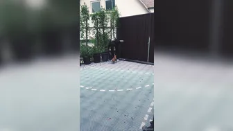 elenakoshkaxoxo  beautiful female strips and jerks off