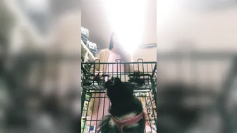 elenakoshkaxoxo  Skinny bitch