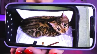 prettyalison shrewd bitch licks anus girlfriend