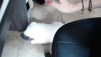 laura_cornett Naughty chicks fuck phallus