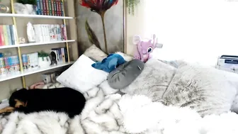 kristennn attractive slut caresses shaved cunt