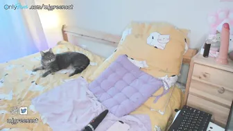 mjgreencat pranks in honor of the new year