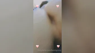 bunnycorp ~ scorebuns  webcam  whore sucking dildo