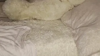 patry333 juicy  fucks both holes hard