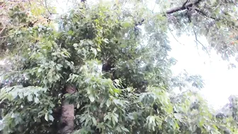 patry333 new online room webcam