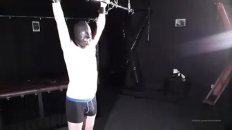 Obey Angelina aka uncensorredom  pretty female