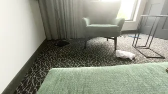 Kourtney Dash aka kourtneydash  top stripchat babe showing boobs 2022 webcam