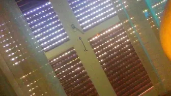 Carol Dias aka realcaroldias  busty tattooed girl pussy play