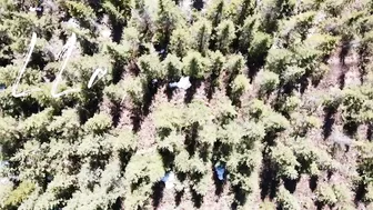 LLadventures (@lladventures) onlyfans Solid kralja handjob cap