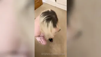 BoltOnWife (@boltonwife) onlyfans bitch with big tits rides vagina toy