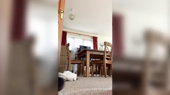 BoltOnWife (@boltonwife) onlyfans amused with the toy