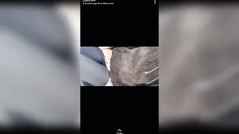 Layna Boo Hot babe pulls her holes