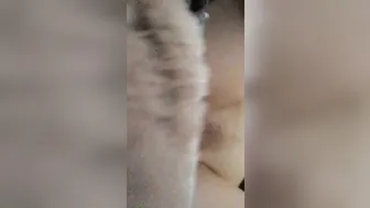 Laiste Girl Seductive babe dancing spectacular striptease