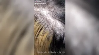 bodyposistylist erotic gentle dances