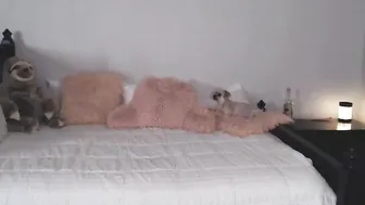 angiefae Charismatic girl jerking juicy holes