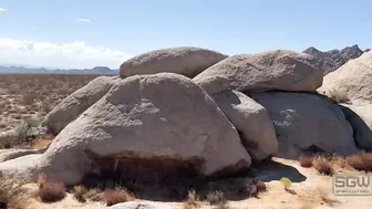 SparksGoWild onlyfans Imposing slut stiffens her cunt tight