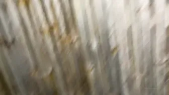 Ava aka avafae Naughty babe posing in lingerie