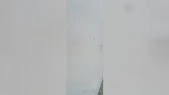 Adira Allure onlyfans Hot mare fucks sex toy