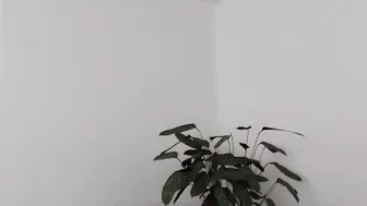 electro_geisha Gorgeous ladies twirl tight ass